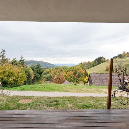 Apartment On The Edge Of The Forest Kleines Wiesental Exterior photo