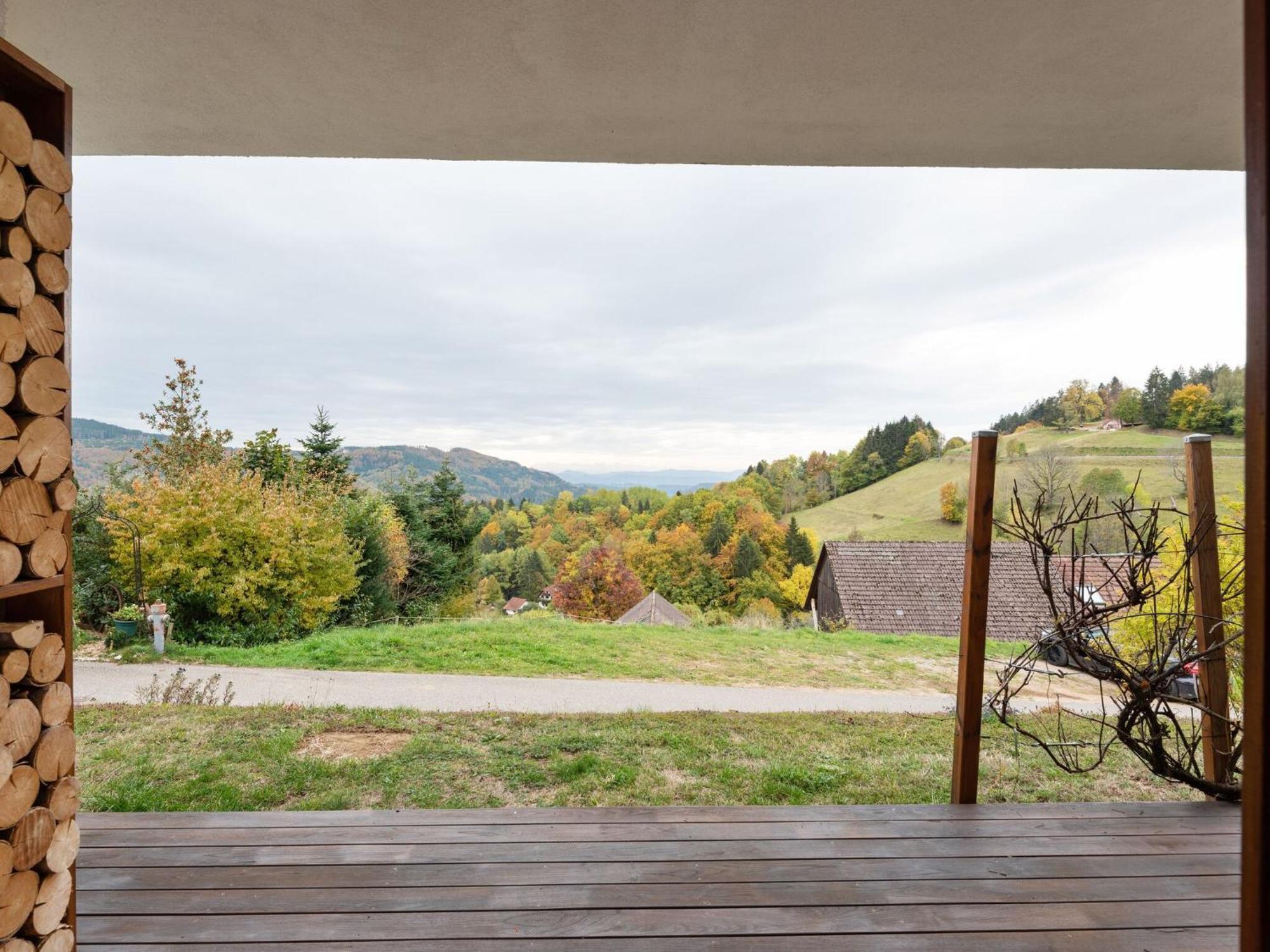 Apartment On The Edge Of The Forest Kleines Wiesental Exterior photo